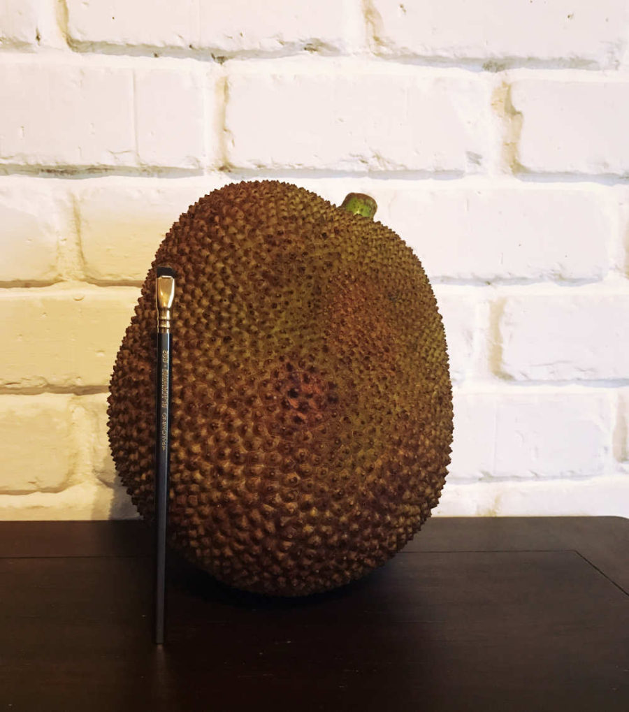 Our first Jackfruit delivery for new Vegan Menu